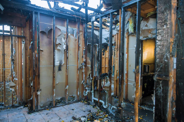 Professional Fire Damage Removal technician working in Haines, AK